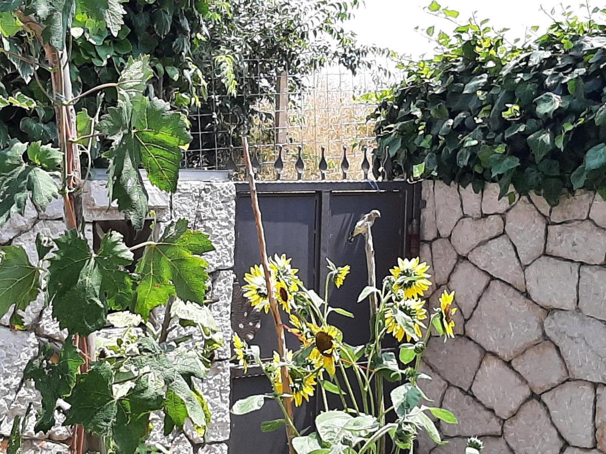 Dubrovnik Apartment Nepe Eksteriør billede