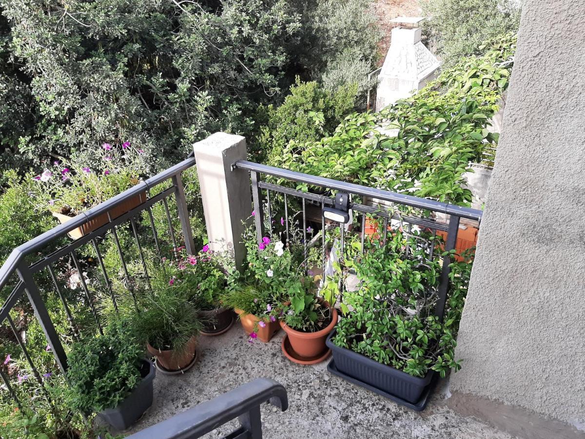 Dubrovnik Apartment Nepe Eksteriør billede